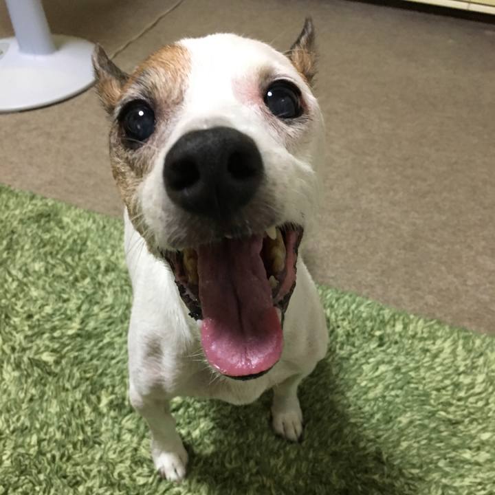 0b33bedf 8d23 4c6d 9134 20743c11677a 1615184038926