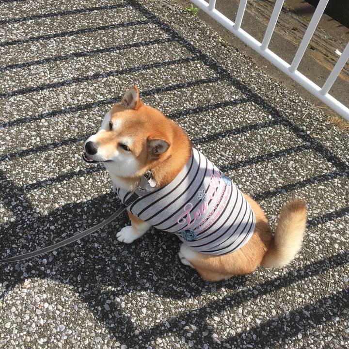 0b33ce2c fe7b 4bbb 9c88 ced8d87d11b6 1540958213866