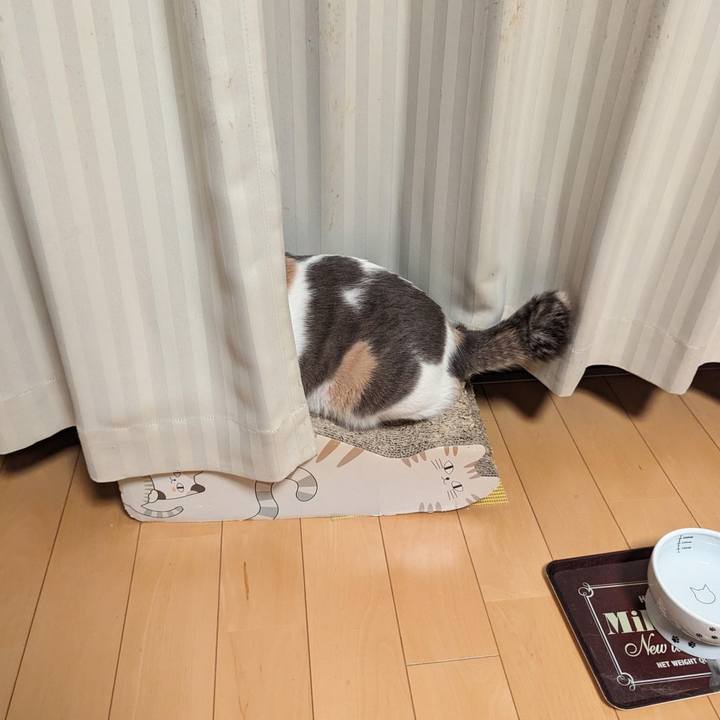 0b33d26c 7994 43eb 8e22 5b8e92a66e2d 1697082415748