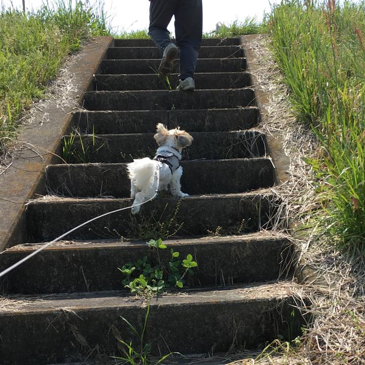 0b33ef46 babe 4f0e a6ef 7f9787d40099 1588145464479