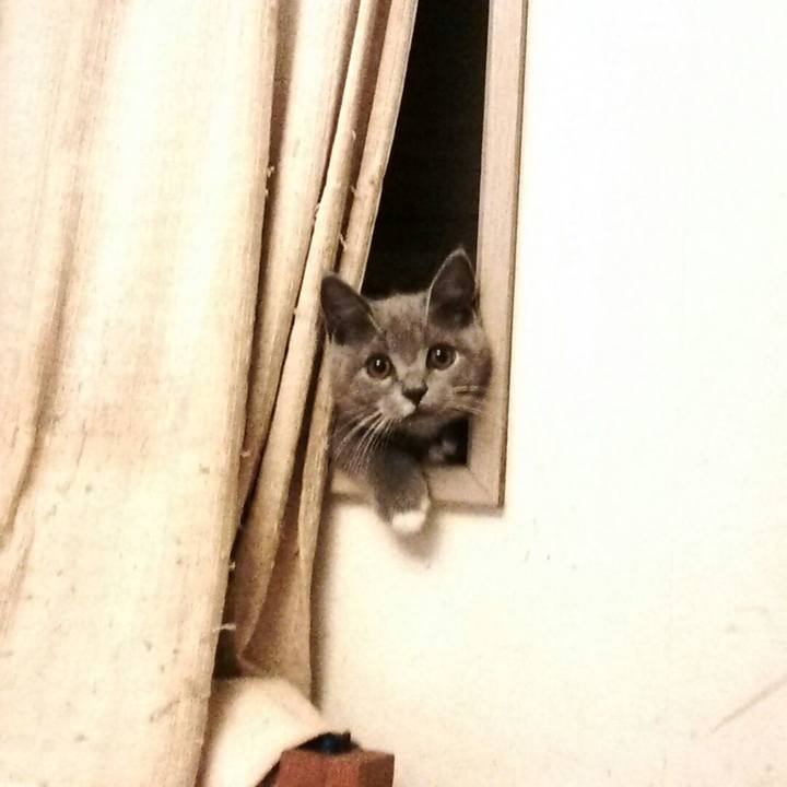 0b341320 087e 47a1 af49 52d12b2479f0 1580183838555