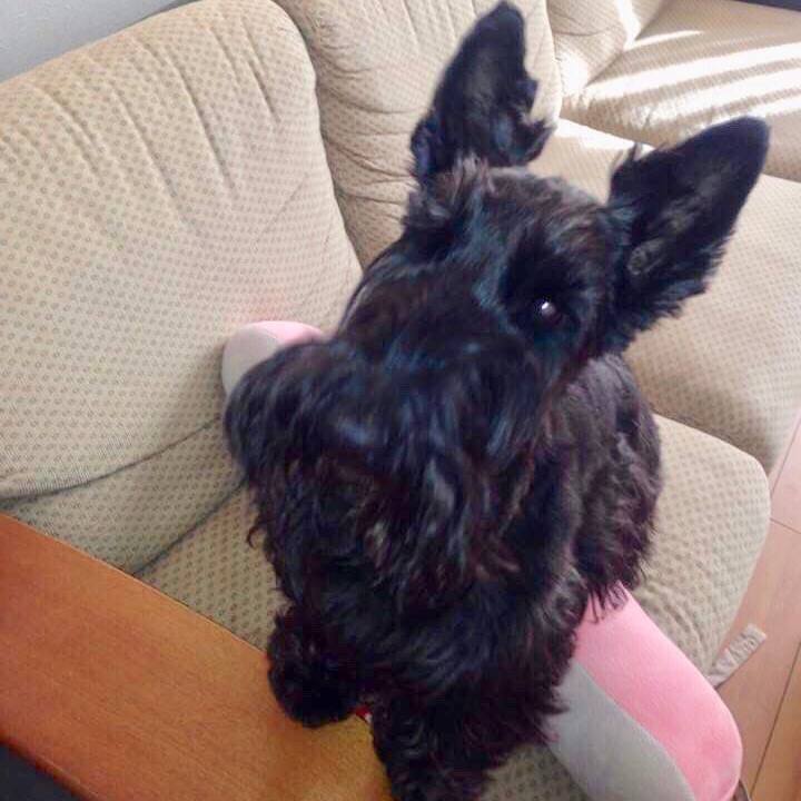 0b34563c d873 49b3 ae19 56c5b8b90371 1604040472910