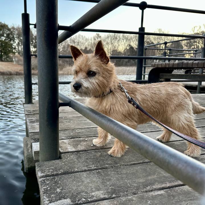 0b346efa 0ad8 4301 aae3 afdb398253f2 1739962789299