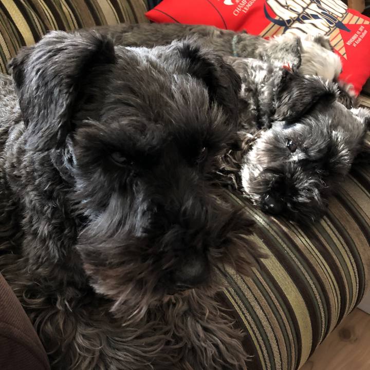 0b346ffc c50f 40ae b270 81f5e15470fe 1582505515396