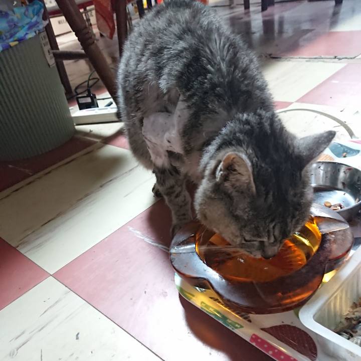 0b349c9c dea5 436c 8c58 da7a79975a24 1587627139145