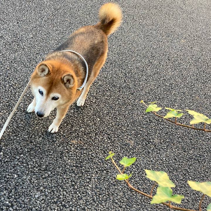 0b34a19f 2325 4b8e a6a7 13859171c6ab 1732346860777