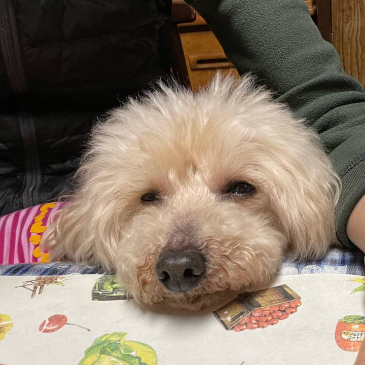 0b34a348 c093 4136 b214 181bfd27396e 1648680060895