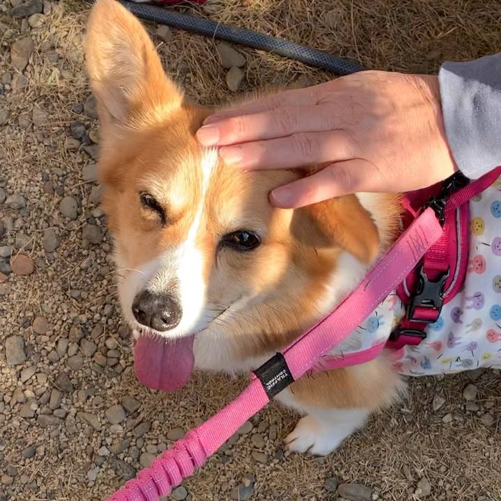 0b34c060 6dc3 4846 8fb6 efe35fd9fda4 1672211874979