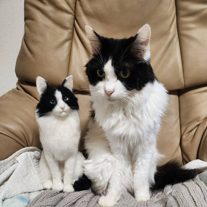 0b34e901 73f3 4411 8c9a bb247f05ec58 1733918072453