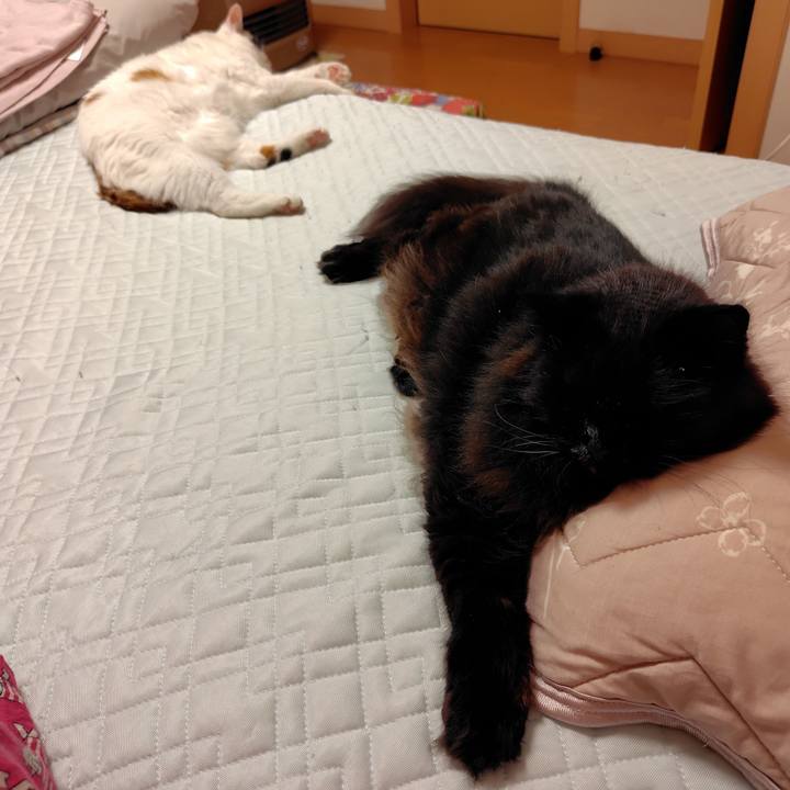 0b34ef29 6d68 4f73 bfea 69cf89e5eee4 1751900834426