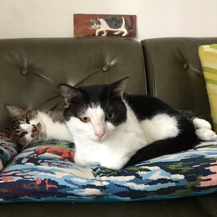 0b34f268 bf46 400b 8427 6c293eb9a44c 1557891619128