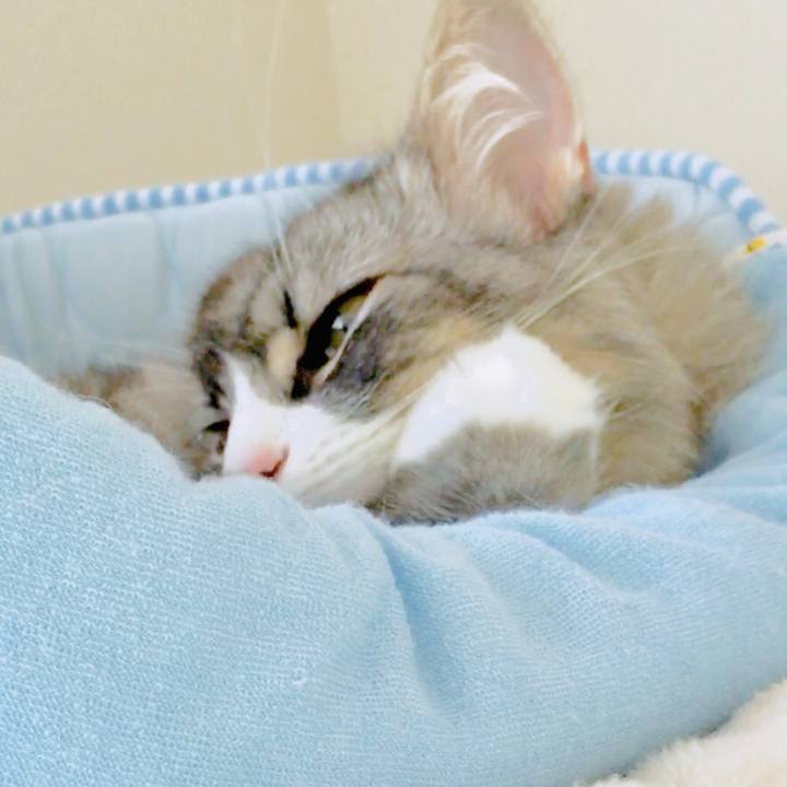 0b35d4f4 8e09 4ff6 971a c1d25be37c6d 1563849913428