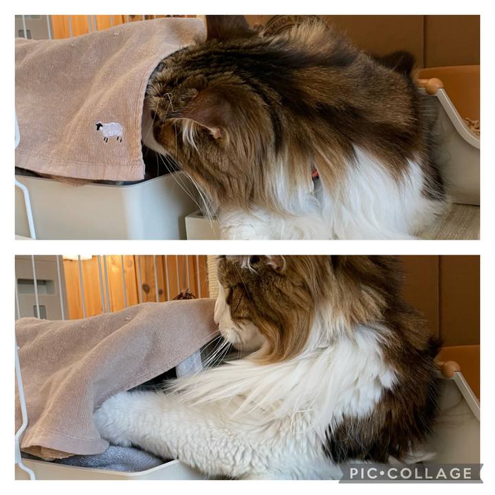 0b35d9ad 0352 4170 8e4a 07c7467c403f 1685833682246