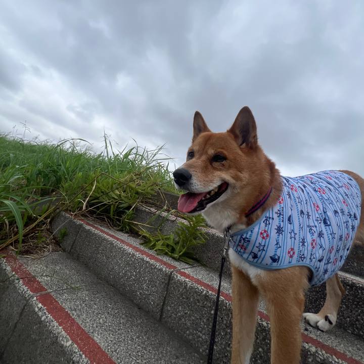 0b35e07b 593d 4641 81e0 0695b0ddccd5 1723949245756