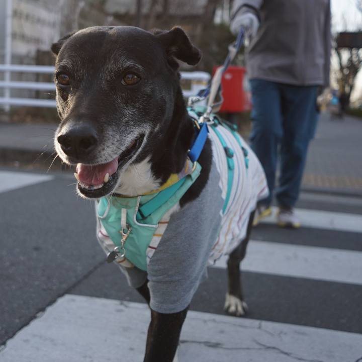 0b35e5c2 84d3 4269 aad8 24e51b19d9aa 1770337240319