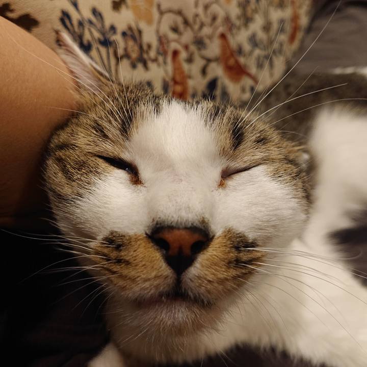 0b35f558 2e91 4282 989b ab202adf8b2a 1668294166190