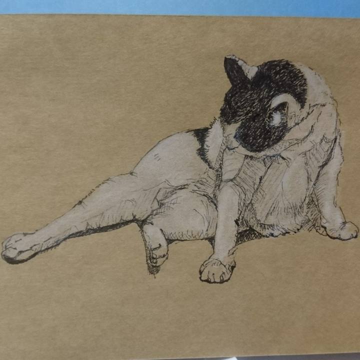 0b36293a d1ad 4256 9ac7 049400bee26b 1519732641966