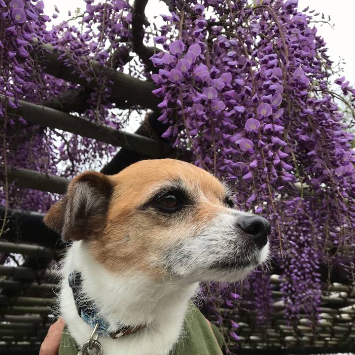 0b3673cf 88f1 4eef 8a03 b8d3954904eb 1556337992704