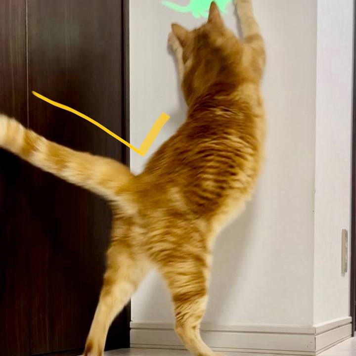 0b3688cd 7bd9 4010 83eb da7e6b7ec870 1687214000584