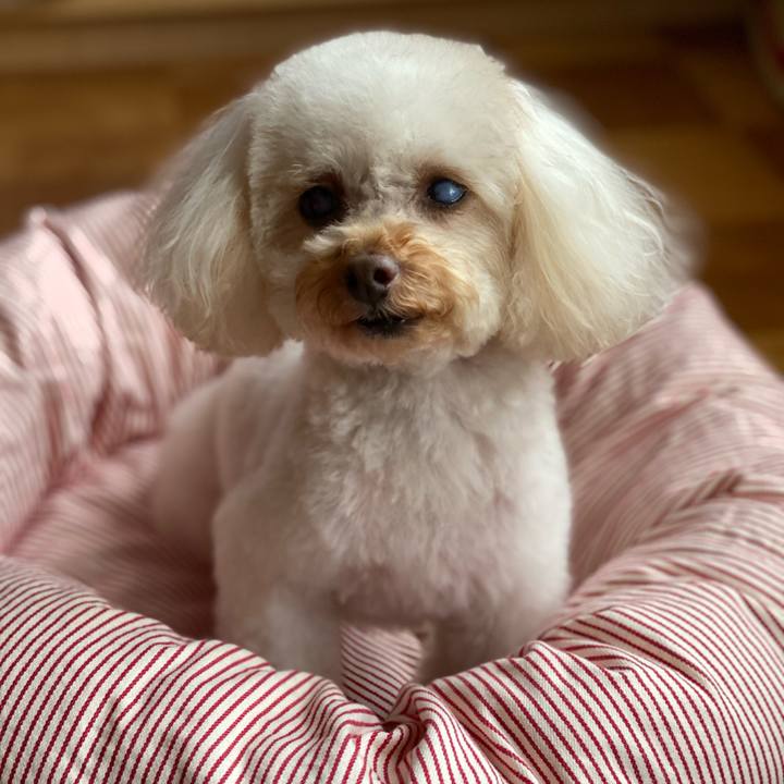 0b36b77f cc59 44b1 a3aa 6fa684d3c44a 1615014933327