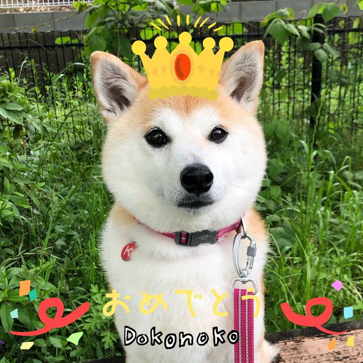 0b36cc96 f566 4d83 9430 ac0c4b615a45 1686003970286