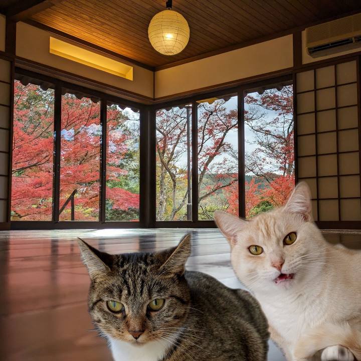 0b370085 8998 4aba ab18 a0b16110c3cd 1700656305379