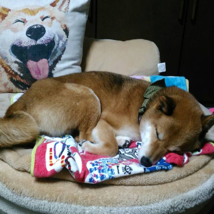 0b371a73 5775 41af baf6 0614751a960b 1526126767964