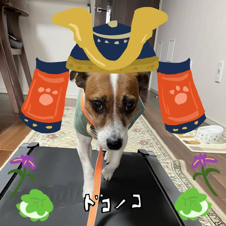 0b371eec 6c5c 4d98 afd0 58741c6794e0 1715498662666