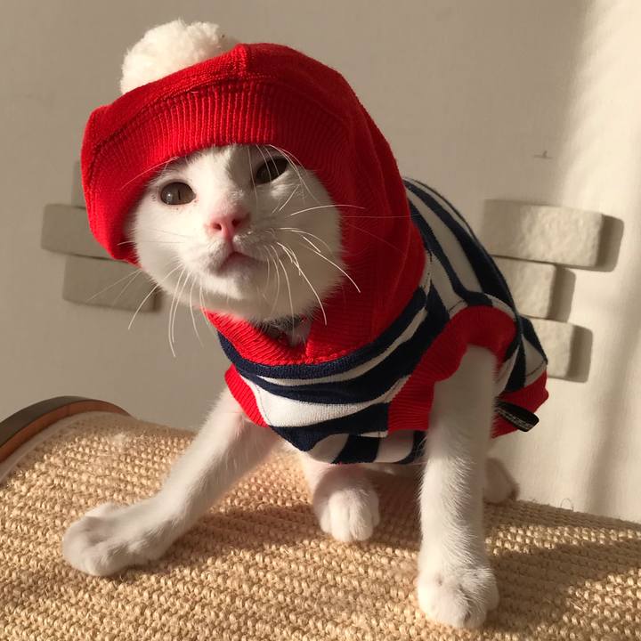 0b376c88 07f0 4eec 8ca1 9eb6523433db 1567908249997