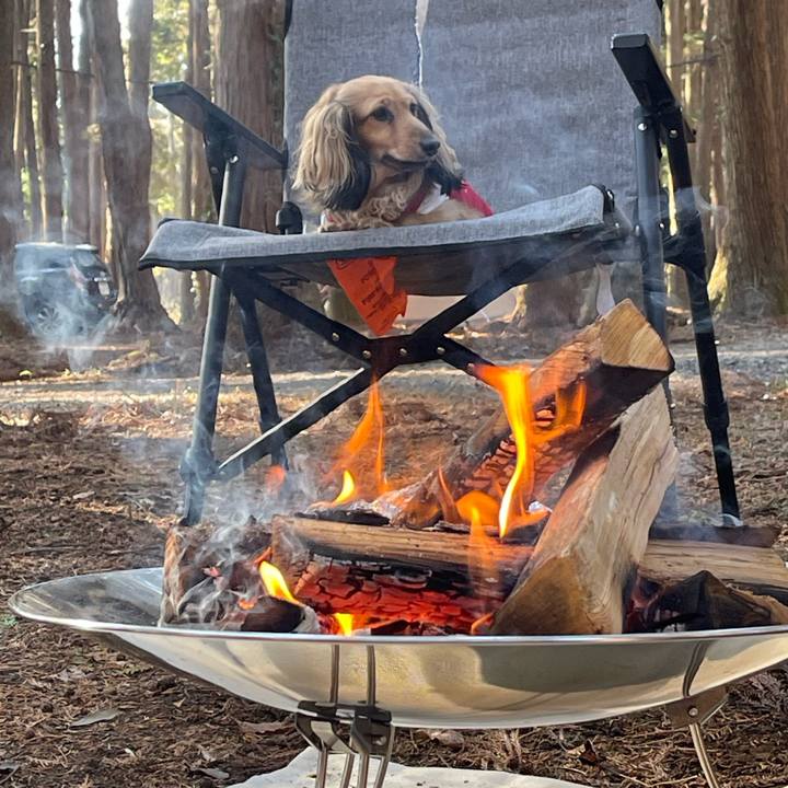 0b37a387 5705 4afb b2cb 46595042f821 1767062598182