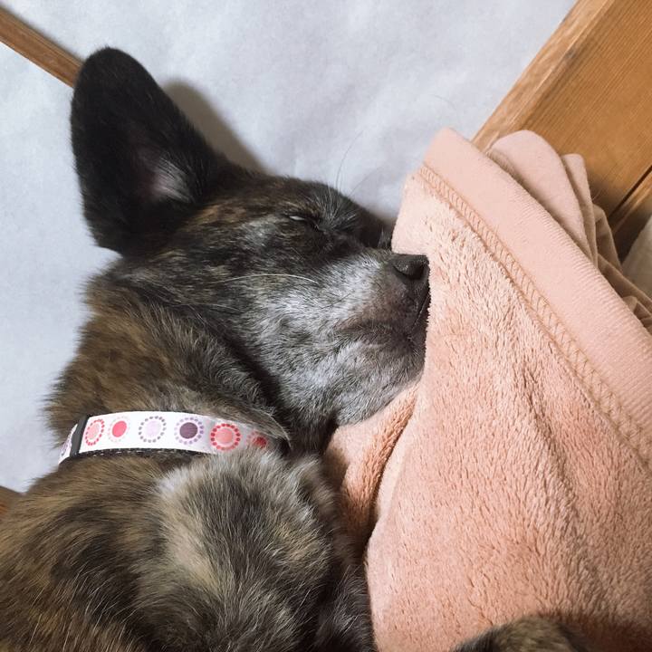 0b383e72 96db 47af bf10 cf4dbd168659 1553613508323