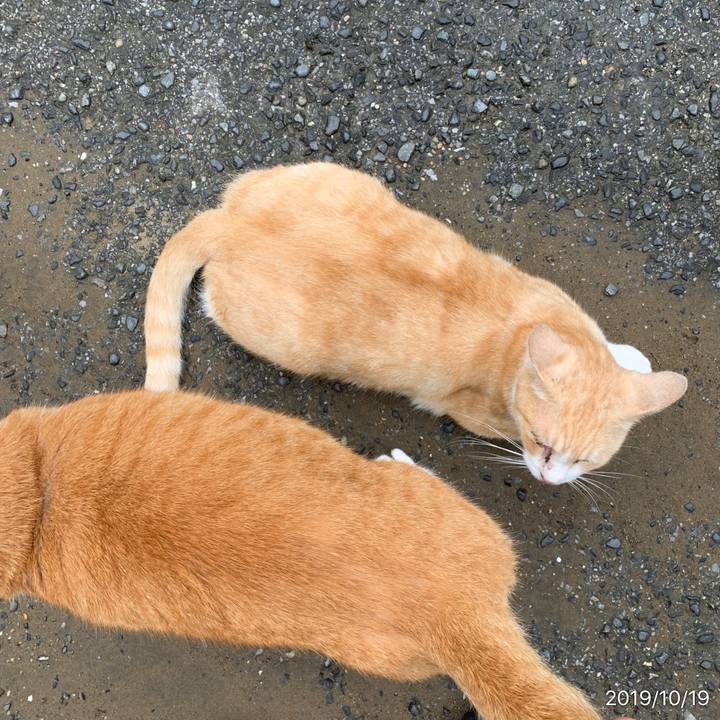 0b38544b f327 42b4 9479 f23784098cec 1571447949399