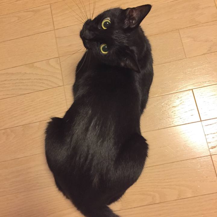 0b385529 e6d3 4b3e 8b35 0c4d4e8f97aa 1510748531390