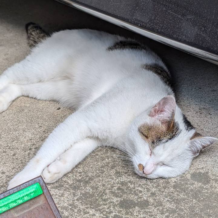 0b386a33 53ca 4581 b412 f58fedeb8e83 1720049960121