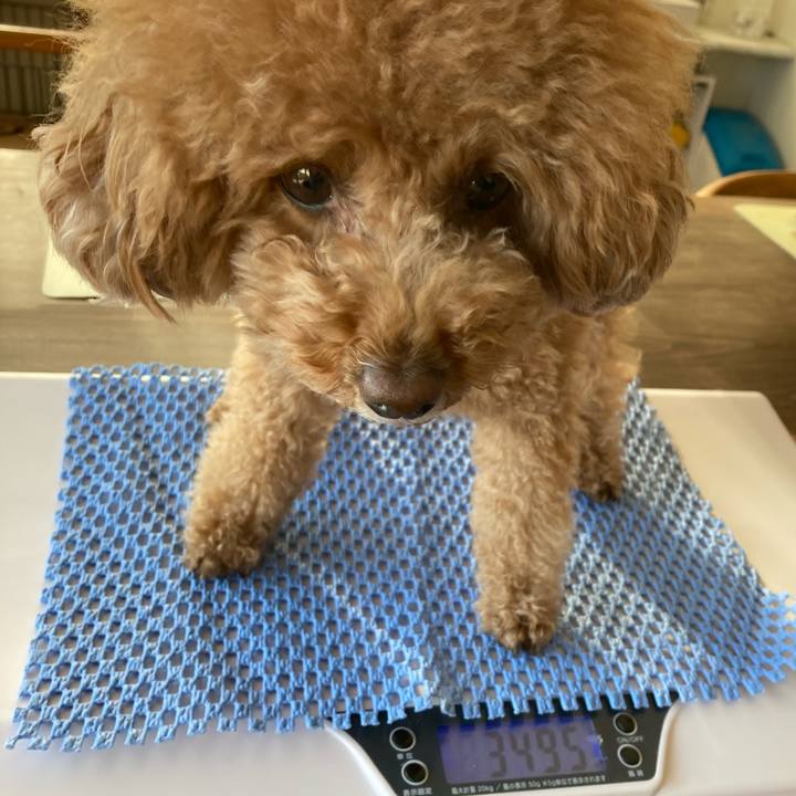 0b3870dd 4f5c 42f5 a2c8 c8f7551f847d 1621525326613