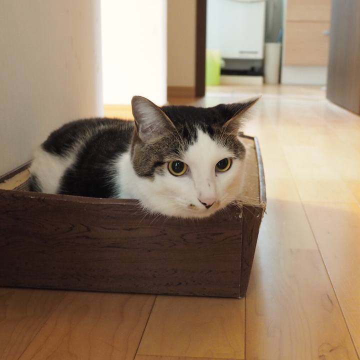 0b38b042 99fd 4d10 8838 484d5b7950c9 1542193140286