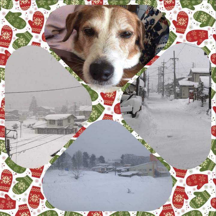 0b38cba0 f1ab 4124 aeca accc43b3a68b 1514937243376