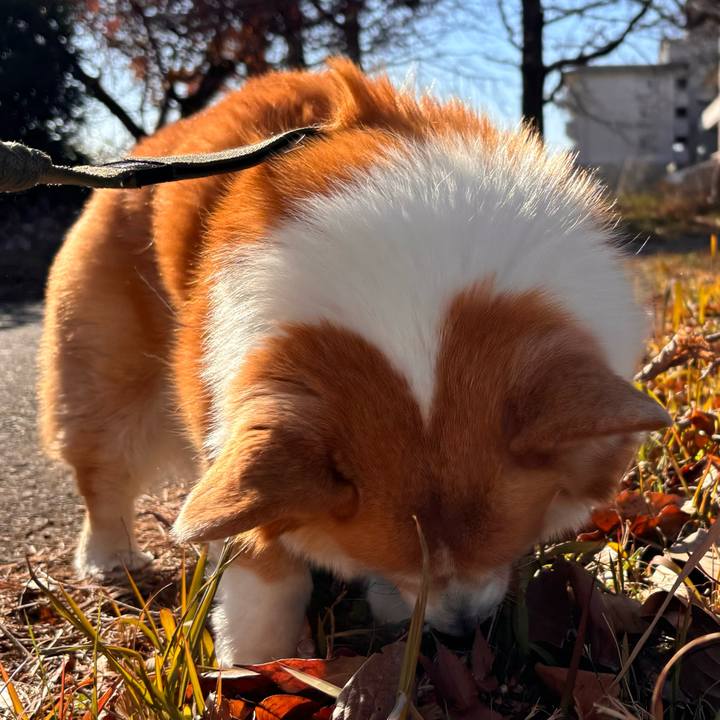 0b38d183 ff43 4f09 920f 197284b26281 1765849782680