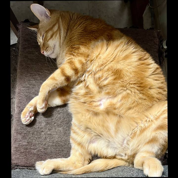 0b38faec ab48 4224 9e36 2260e3dd6d09 1711150199203