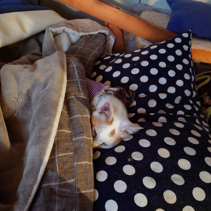 0b39081e 655b 4105 8beb 9bad8b3d3d7a 1772017233324