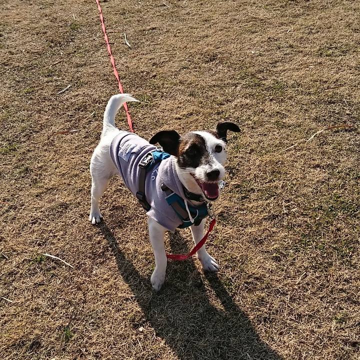 0b39463b 2300 4410 9aea a3f47745373f 1547342758917