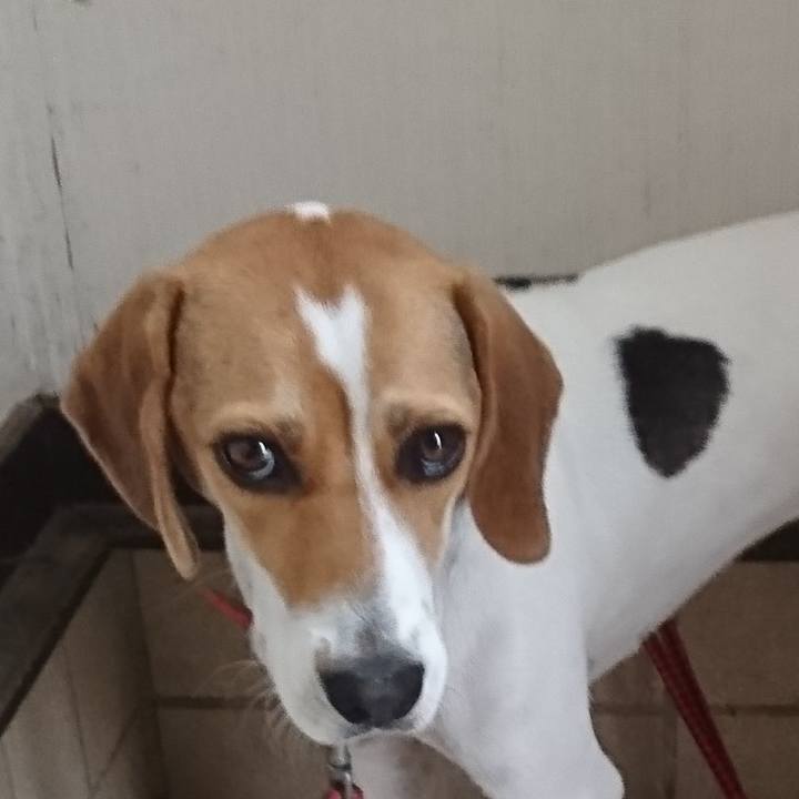 0b395c1b 367d 42bb a123 0a726c4f751b 1605196589862