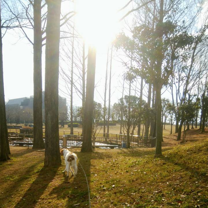 0b3a137e b7be 4520 bb36 02152d00f2eb 1547970955709