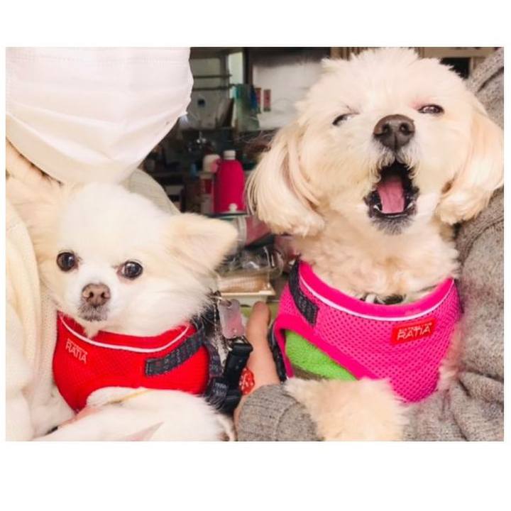 0b3a2f71 33d1 43f0 88df b7a1957ecaca 1649542730418