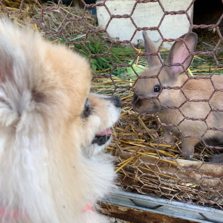 0b3a387a ebf9 4646 893e e627e9a2c400 1657144293800