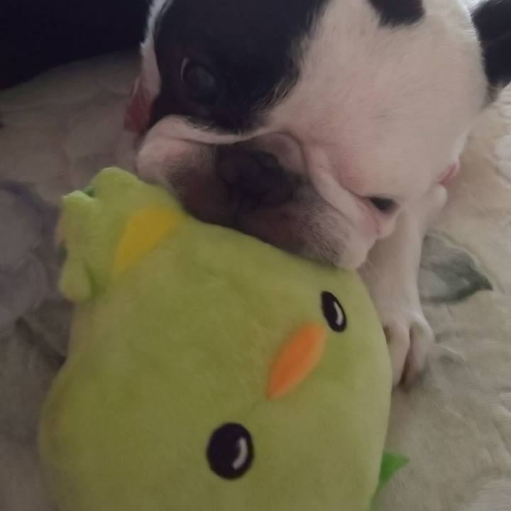 0b3afab1 d3a6 4b76 83e9 4cc02100d360 1566097674671