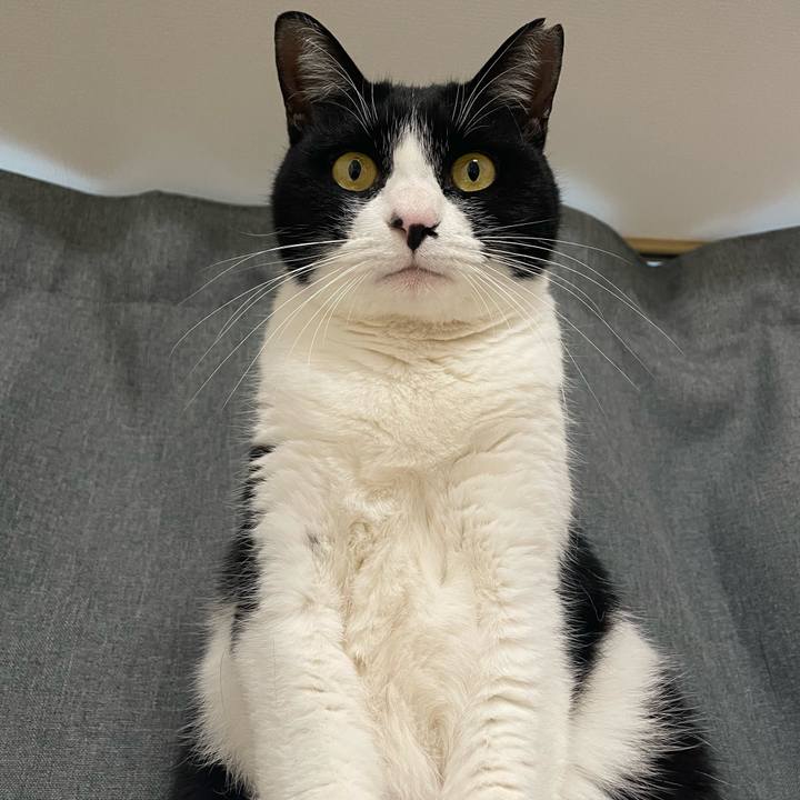 0b3b03bb 3222 46cc a424 3b55c9ad9044 1735290972393