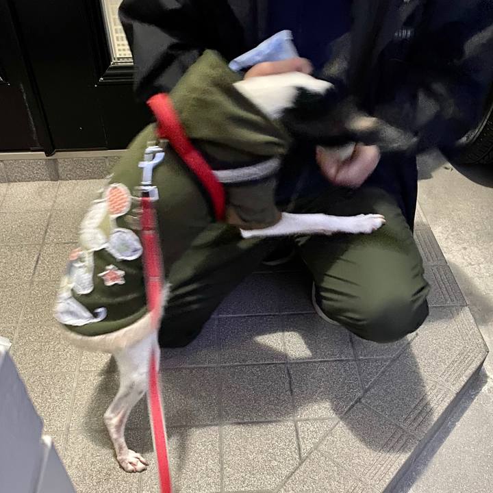 0b3b2121 a7a8 4b6d bf5f 29273302b93c 1582235674444