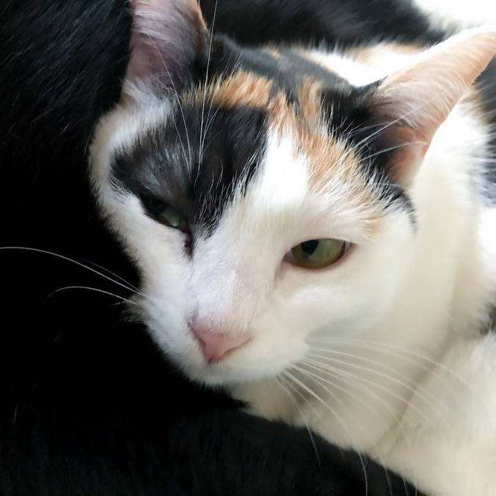 0b3b2fcf d5ef 4e7b 9f28 b1294d730c11 1519520914798