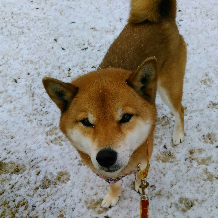 0b3b6880 fafe 4ab6 bc2d 899d94c9584b 1519259618437